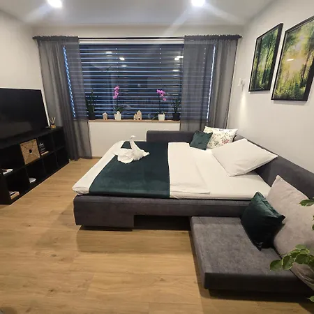 公寓 Apartments Eva Bled (Adults Only)