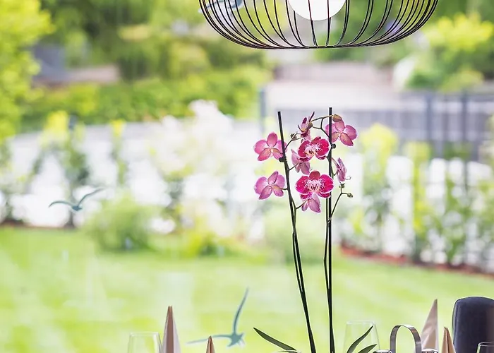 Eva (adults Only) Apartment *